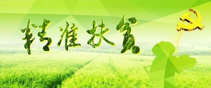 乡村扶贫总结报告