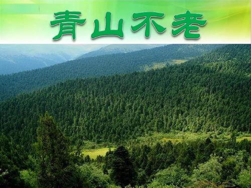 小学青山不老教学设计案例
