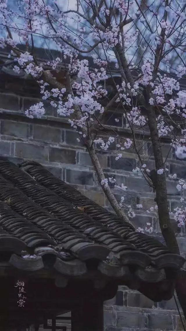 天雪泥炉邀酒，试问真情几何