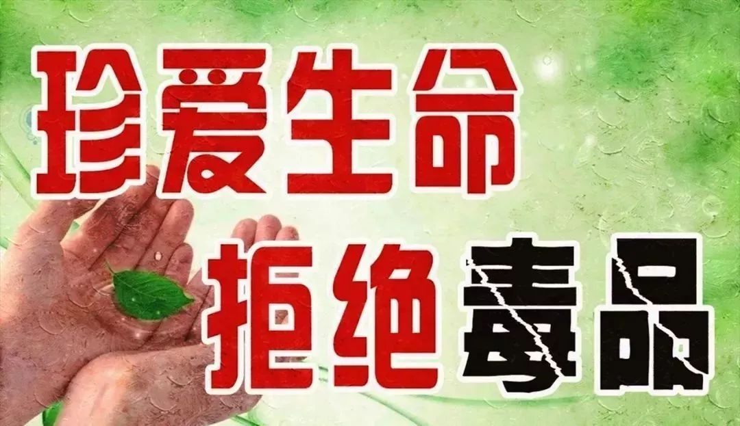 禁毒主题演讲稿汇总