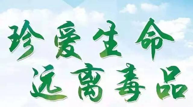 大学禁毒主题班会总结范文