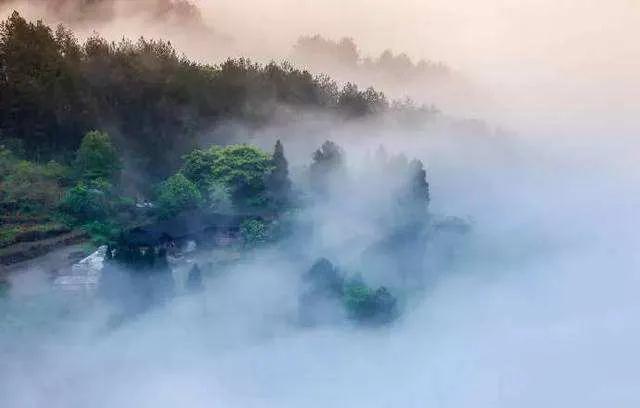 散文例文：暴雨来临
