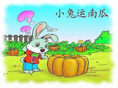 《小兔运南瓜》教师教学反思总结