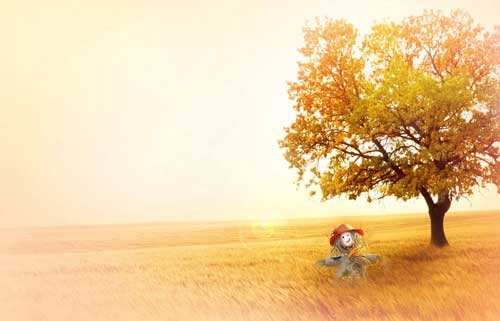不负时光