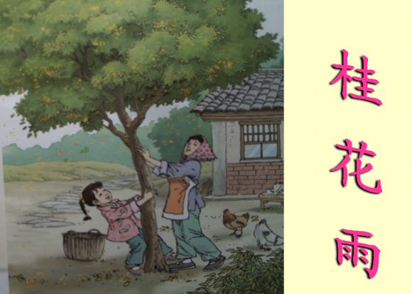 语文教师桂花雨教学总结