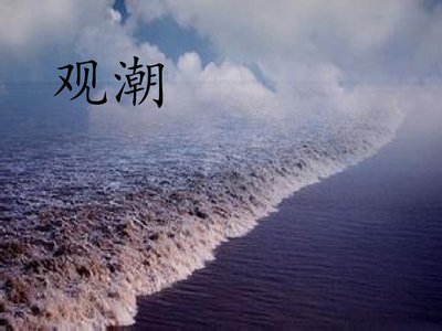 语文观潮教学教师反思借鉴