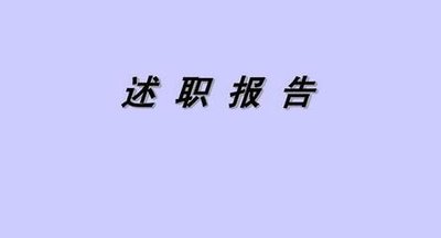 保险公司个人2020述职报告