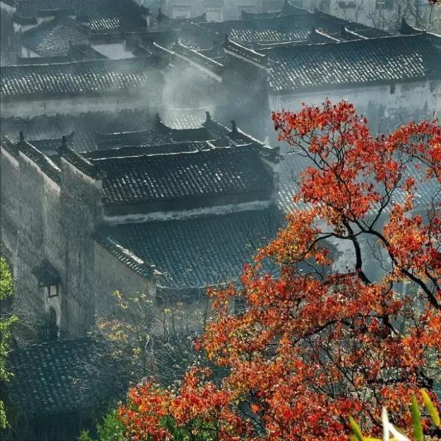 王兴：读《故乡的水井》有感