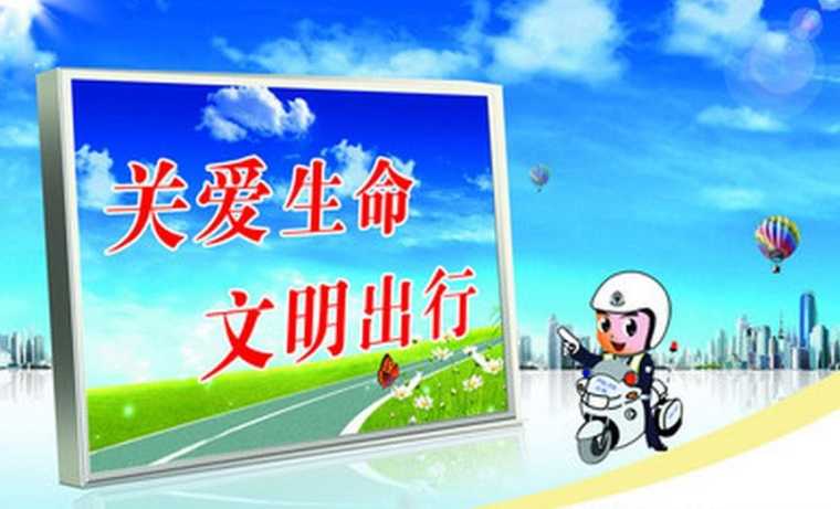 车辆道路安全计划
