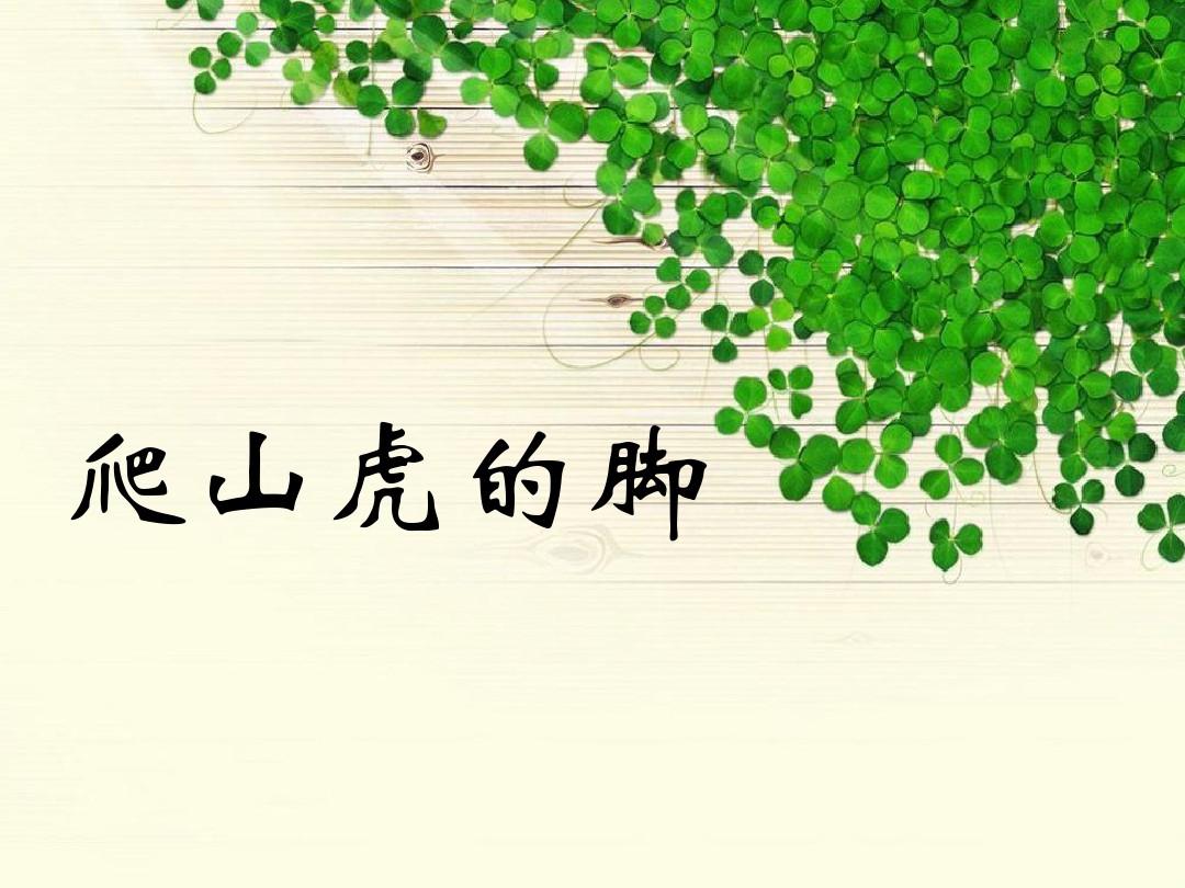 教师讲课爬山虎的脚案例