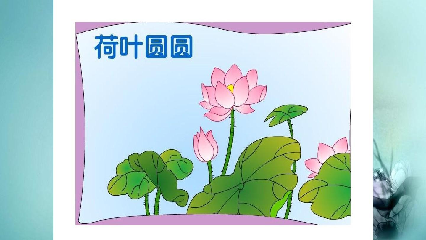 荷叶教学案例借鉴