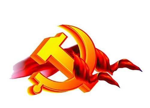 乡镇预备党员一年转正申请材料