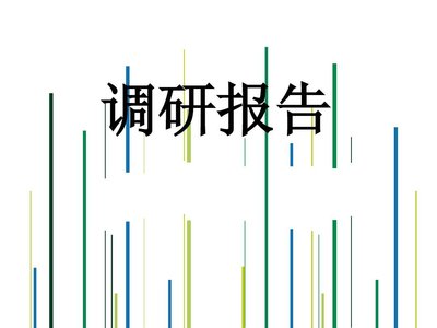 2021年全面从严治党主体责任落实情况调研报告