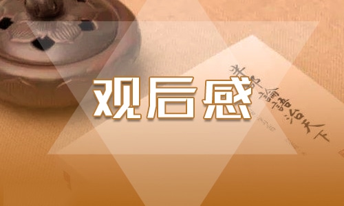 《山海情》观后心得范文3篇