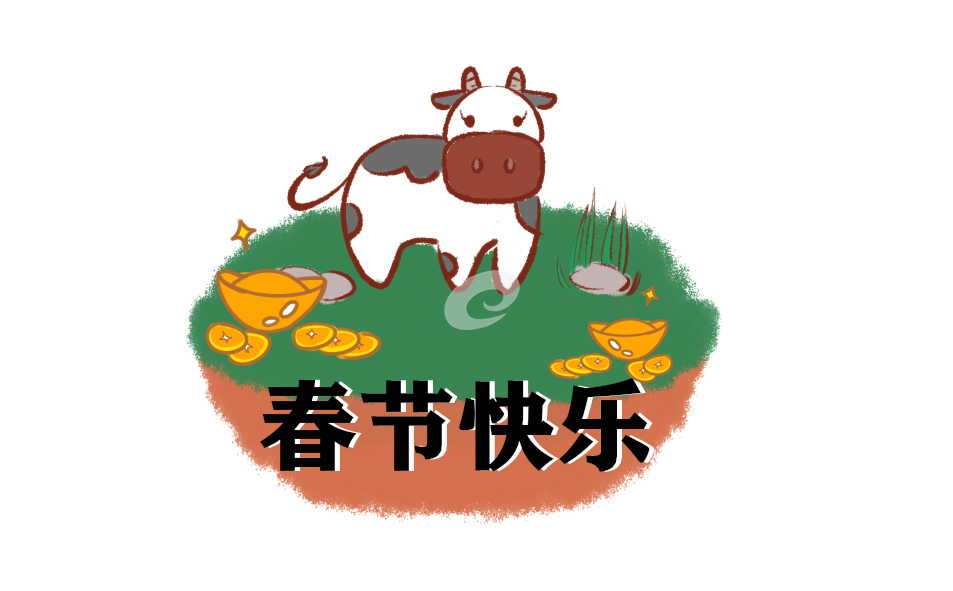 关于“就地过年”的一点感想