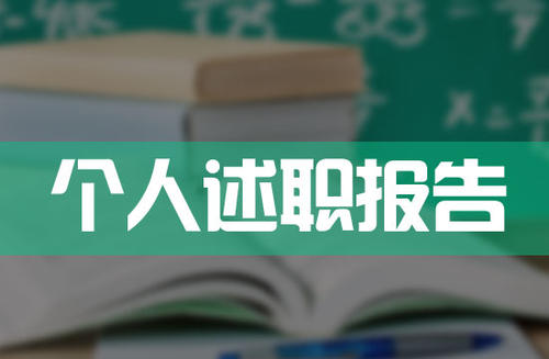 学校党支部年度述职报告材料