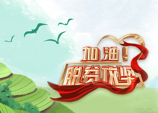 脱贫攻坚心得体会