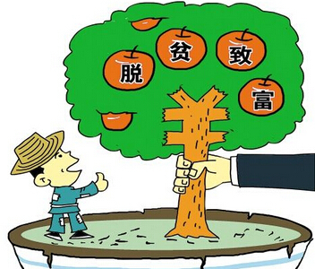 脱贫致富先进事迹材料