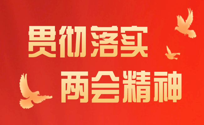党员全国两会精神个人学习心得体会