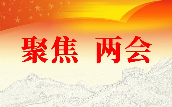 电网公司学习全国两会精神心得体会