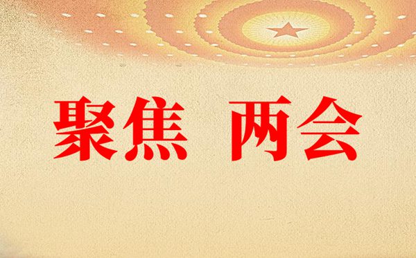 2021聚焦两会素材
