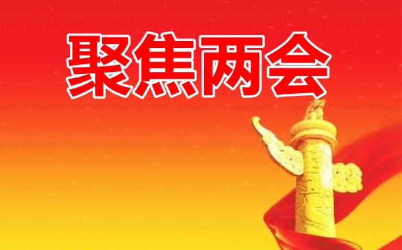 2021年全国两会期间安全防范工作汇报