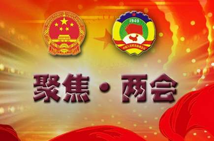 2021两会之声 