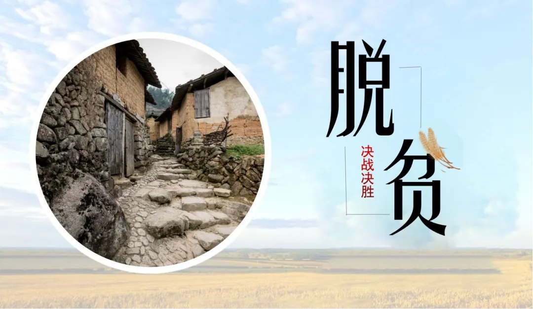 从脱贫攻坚到乡村振兴：科技助农，互联网先行
