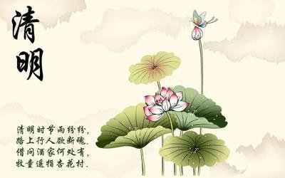 清明将至学生感言