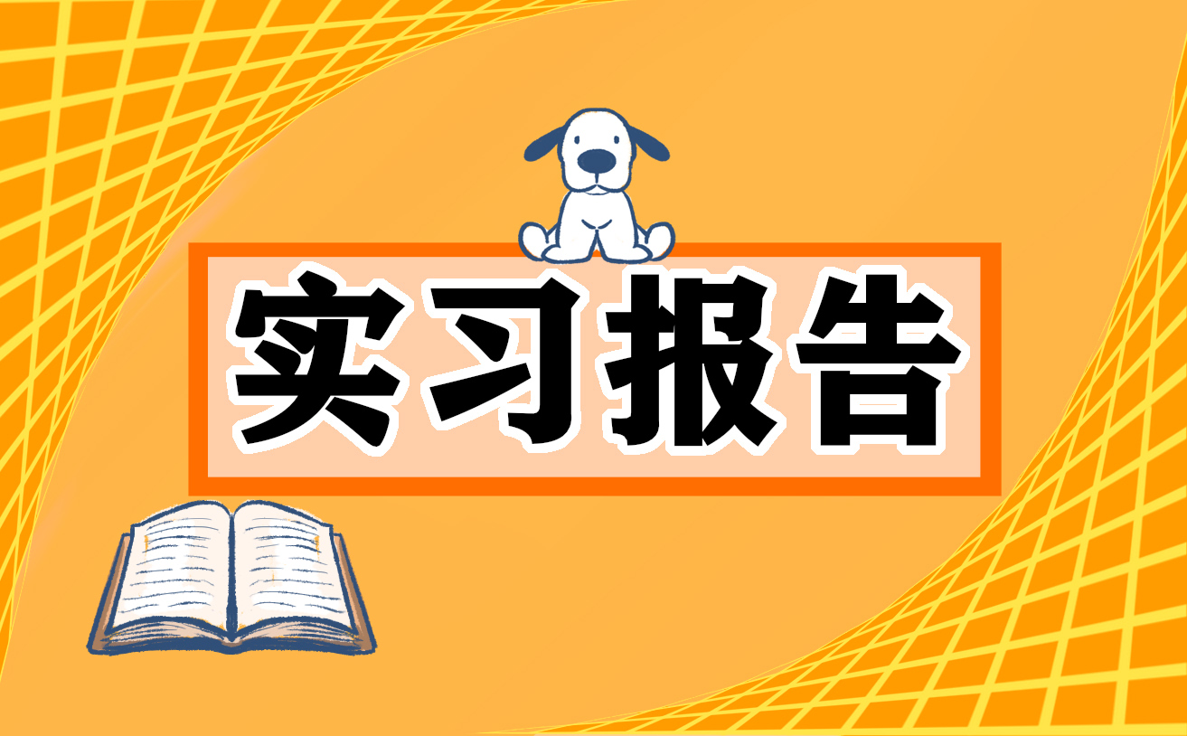 会计岗位实习工作报告