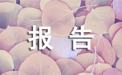 校园学生调查报告材料
