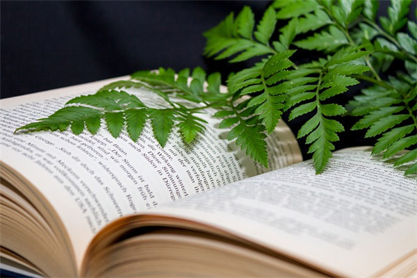 教师研修学习心得感悟模板