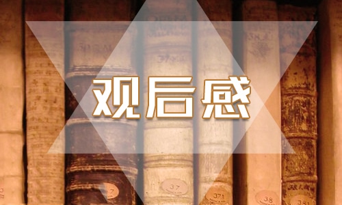 《一级响应》纪录片观后感5篇