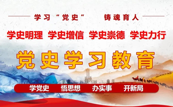 学习党史心得感言例文4篇