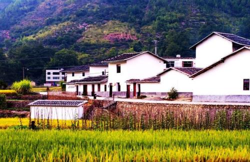 考察美丽乡村心得体会范文合集