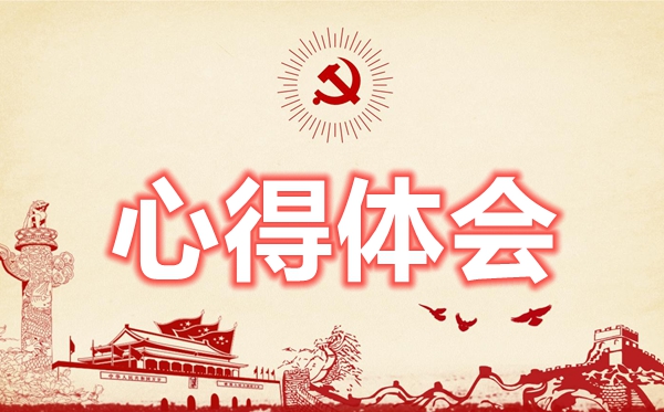 公安民警队伍教育整顿个人心得体会（3篇）