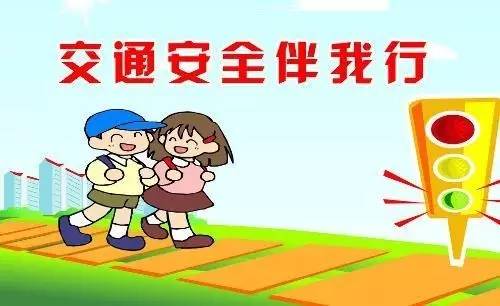 道路交通安全教育学习心得范文