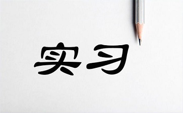 大学生假期实习工作总结范文