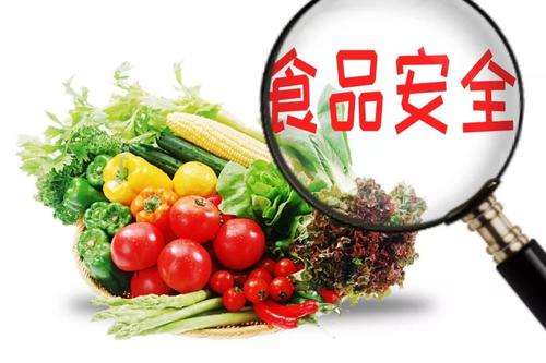 关于学校食品安全的发言稿大全