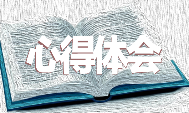 大学生顶岗实习心得感悟例文