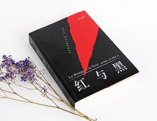 初中生红与黑读后感三篇