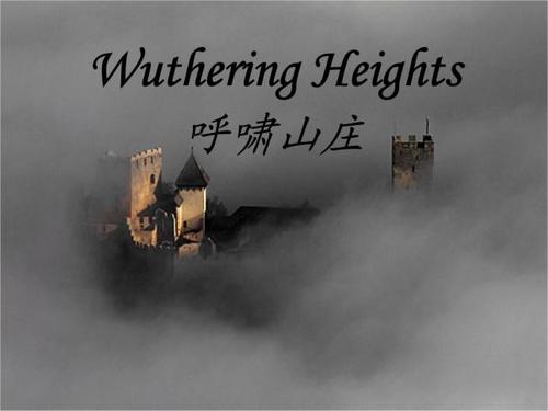 精选呼啸山庄读后感范文
