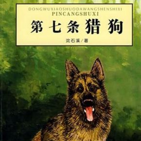 《第七条猎狗》读后感范文全集