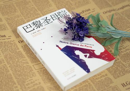 《巴黎圣母院》读后感范文合集