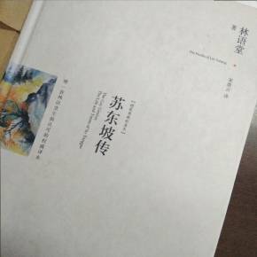 苏东坡传读后感范文合集