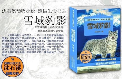 小说《雪域豹影》读后感范文合集