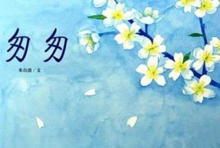 《匆匆》读后感范文参考