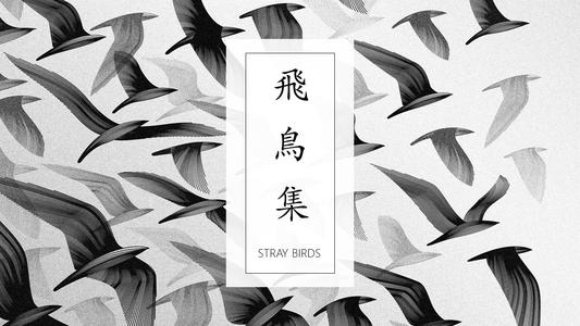 泰戈尔《飞鸟集》读后感范文