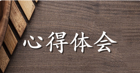美术教学心得体会范文参考