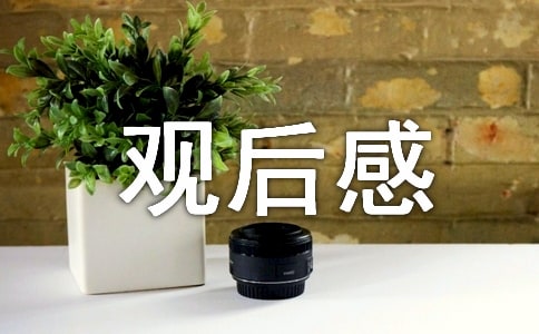 飞屋环游记电影观后感大全